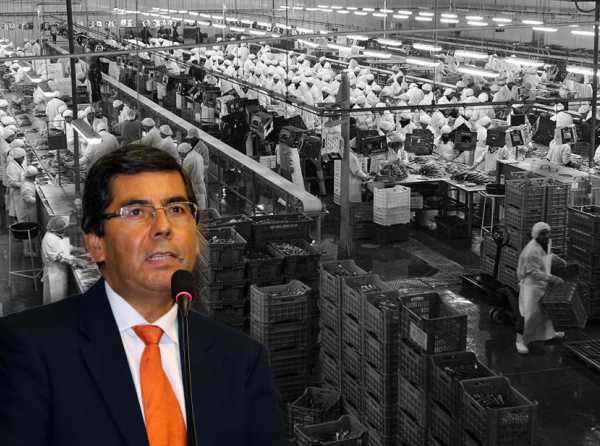 ¡Agroexportación bajo ataque chavista!