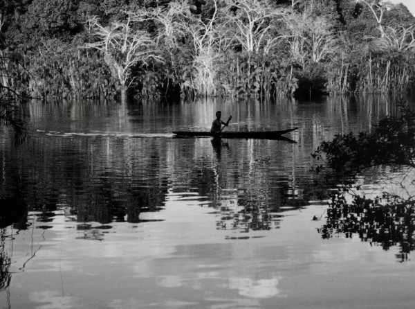 Narcotráfico avanza en la Amazonía