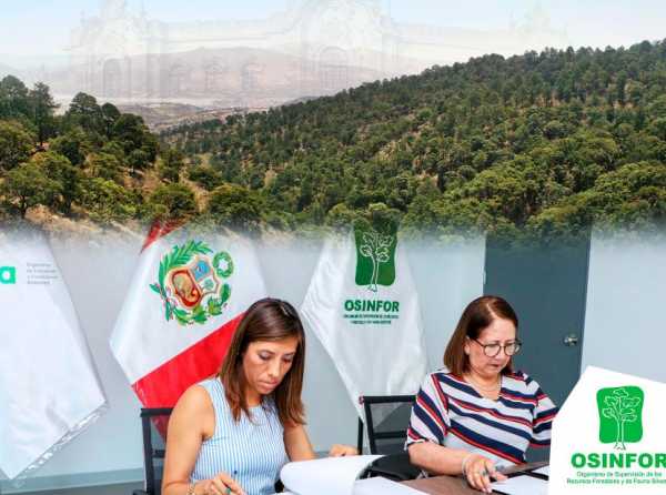 Osinfor vuelve a la PCM