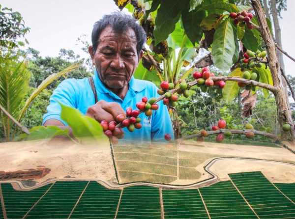 Majes Siguas II: agroexportación para Arequipa
