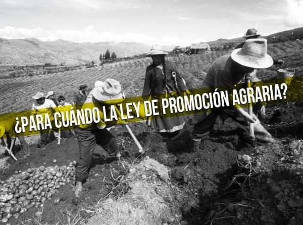 ¿Para cuándo la Ley de Promoción Agraria?