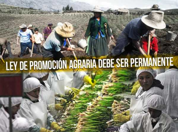 Ley de Promoción Agraria debe ser permanente