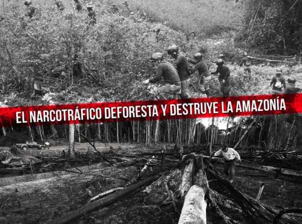 El narcotráfico deforesta y destruye la Amazonía