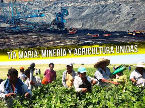 Tía María: minería y agricultura unidas