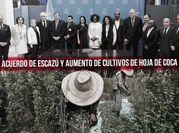 Acuerdo de Escazú y aumento de cultivos de hoja de coca