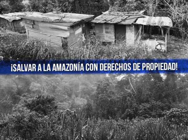 ¡Salvar a la Amazonía con derechos de propiedad!