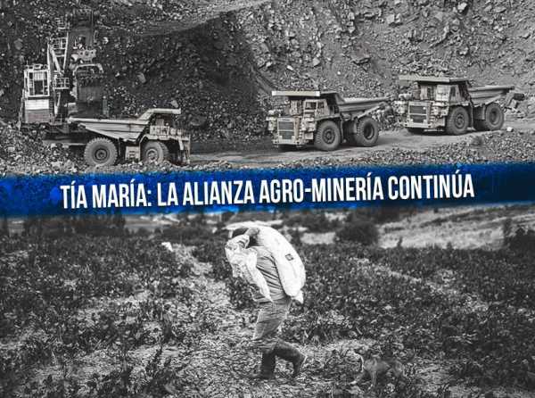 Tía María: la alianza agro-minería continúa