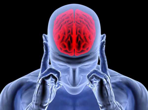 Liderazgo, cerebro reptil y cerebro límbico