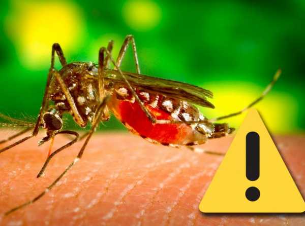 Lecciones aprendidas y Plan Contra el Dengue