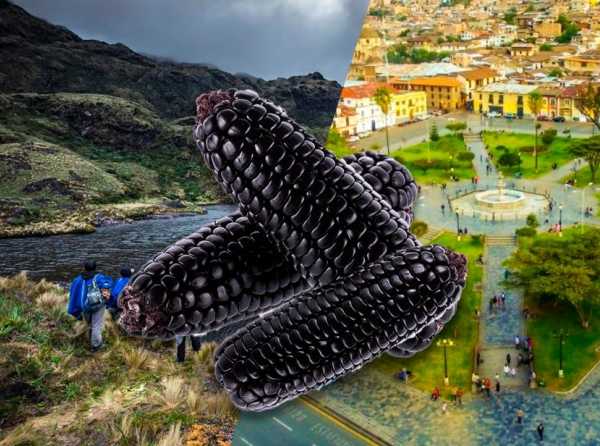 Cajamarca: mirar más allá del maíz morado