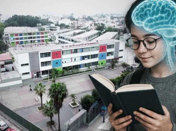 Limitada comprensión del cerebro en los currículos (III)