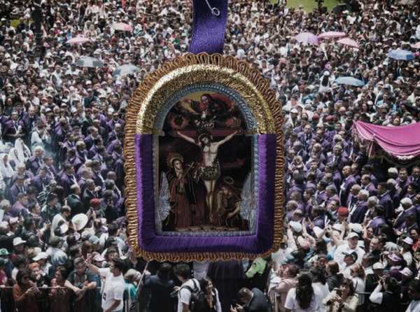 Estampa morada