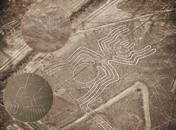 ¿Qué motiva la reducción del área polígona de las líneas de Nazca?