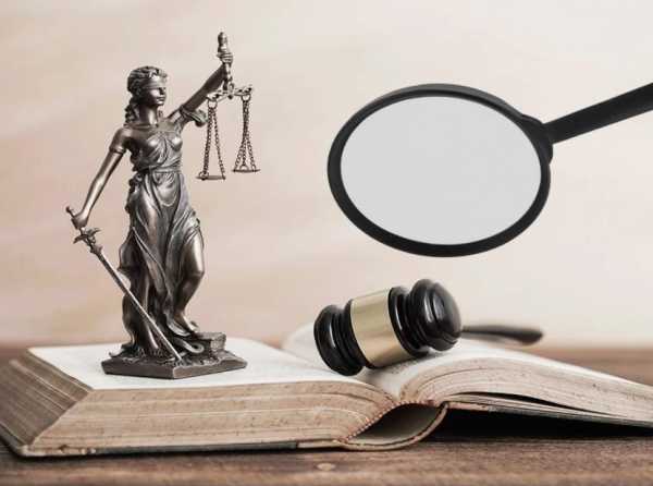 ¿Se interpretan igual la parte dogmática y la orgánica en una Constitución?