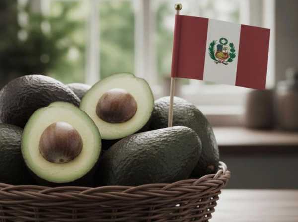 Campaña contra la palta peruana