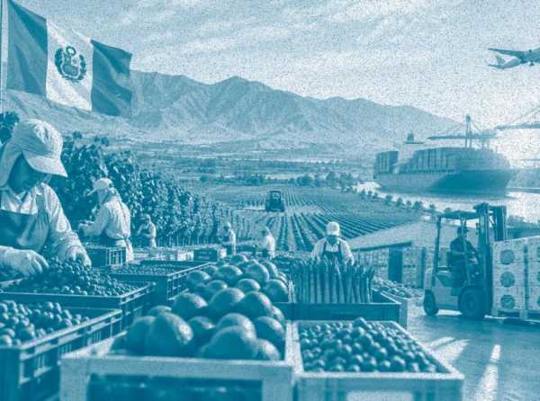 &iexcl;Ratificando el sue&ntilde;o agroexportador del Per&uacute;!