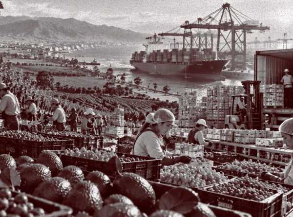 A pesar de El Ni&ntilde;o, agroexportaciones siguen creciendo