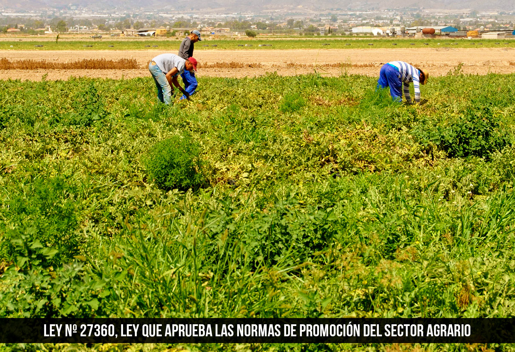 Ley Nº 27360