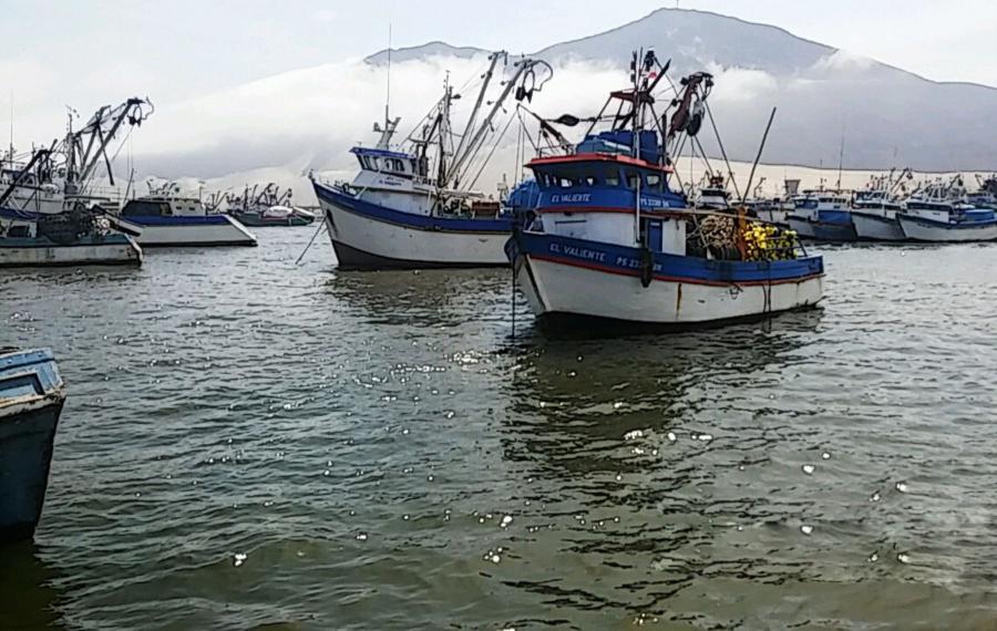 Perú y Ecuador contra la pesquería ilegal