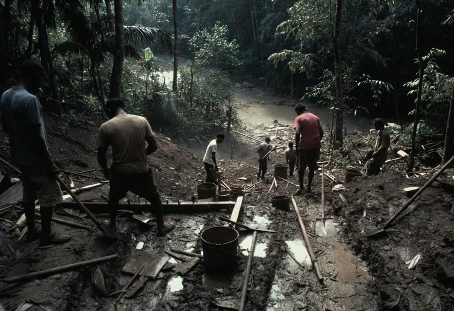 Miner&iacute;a criminal