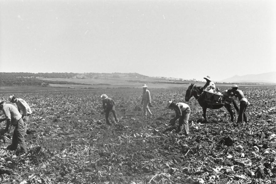 La Reforma Agraria
