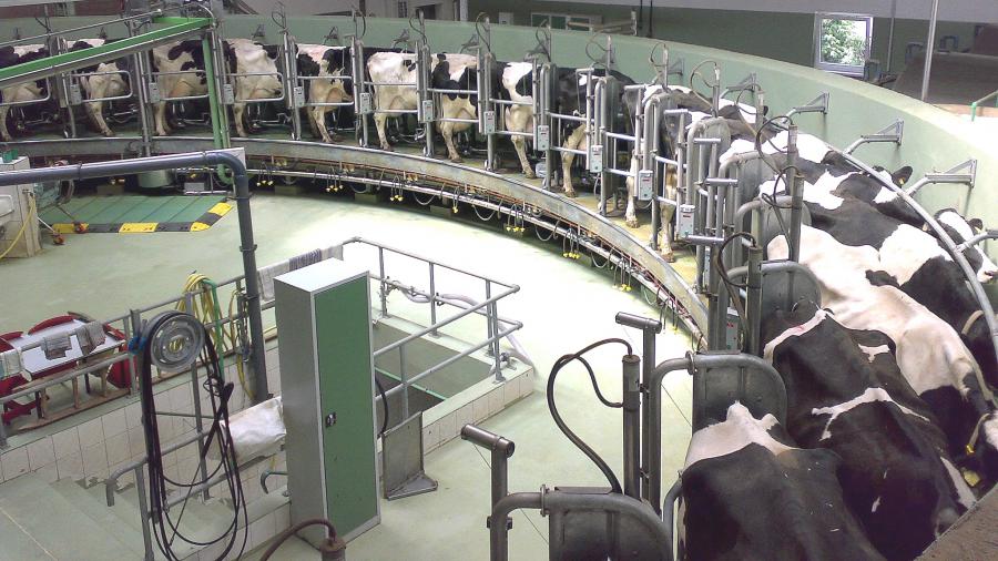 ¡Puñalada contra la industria láctea en el Perú!