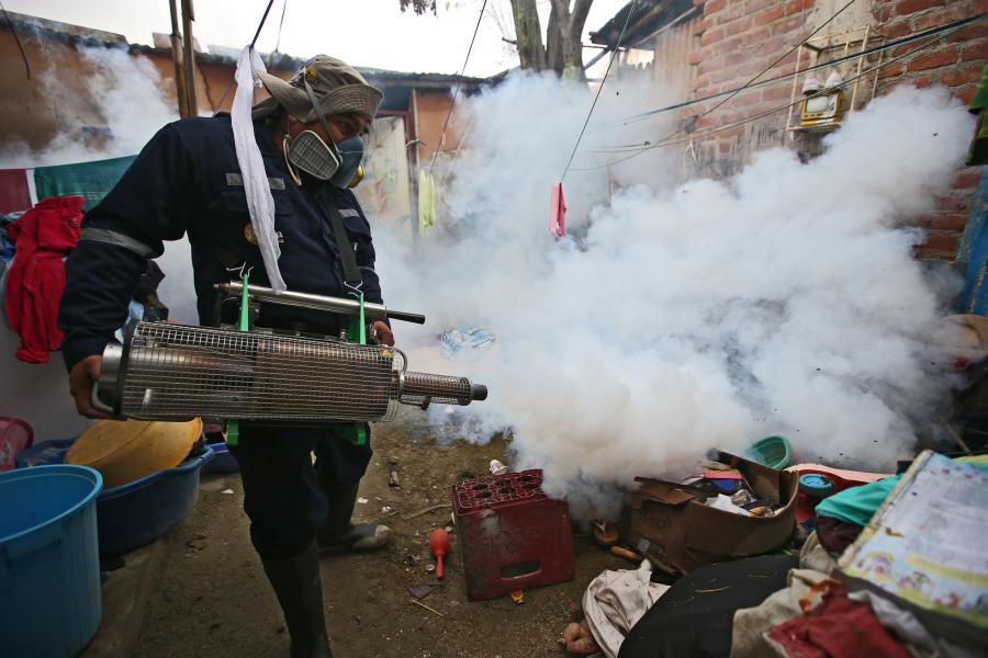 La política menuda y el dengue