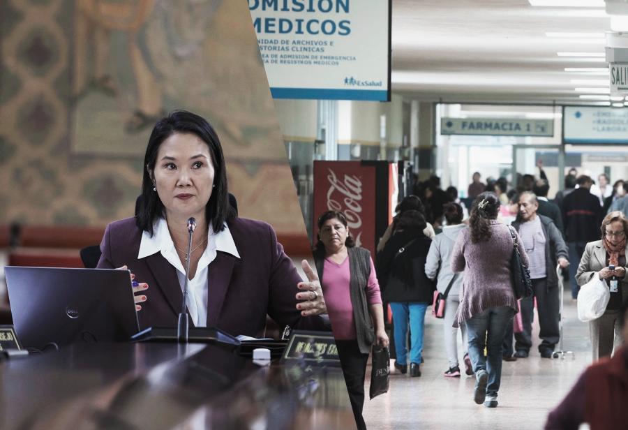 La delegaci&oacute;n de facultades legislativas y la salud