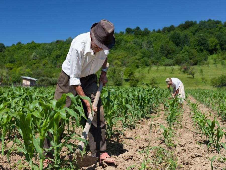 La agroexportación, la clase media agraria y los desafíos futuros