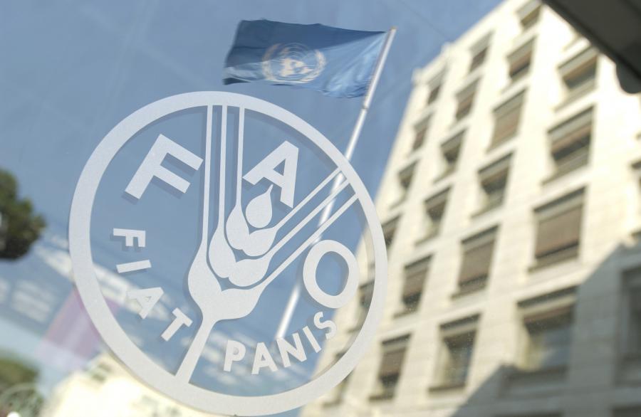 FAO y el peruano que se respeta