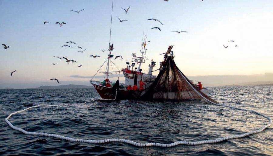 La pesca industrial contribuye al crecimiento del PBI