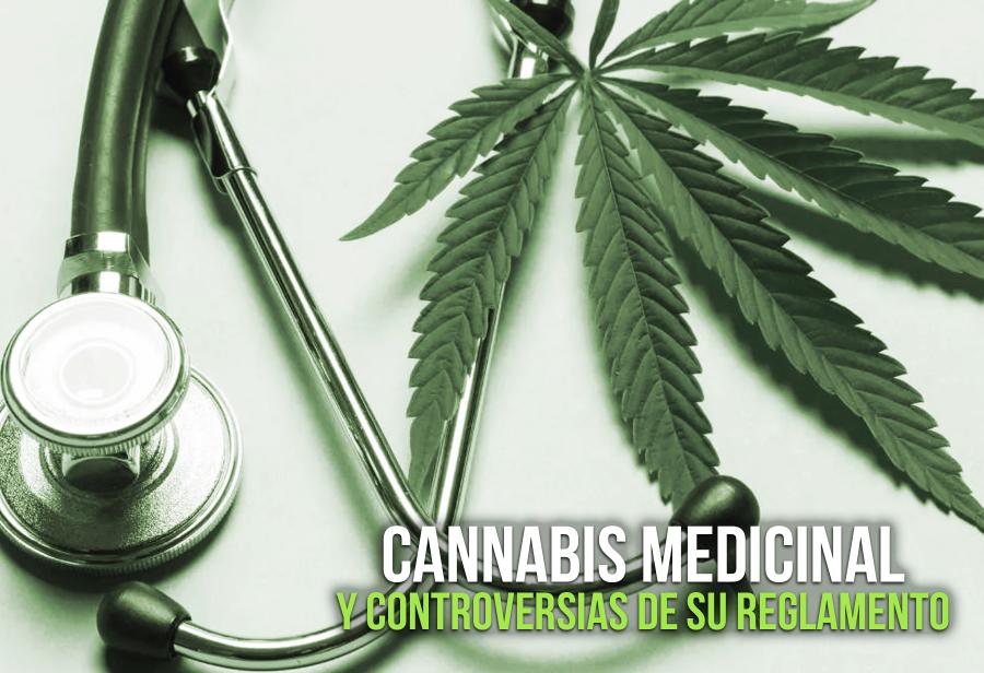 Cannabis Medicinal Y Controversias De Su Reglamento El Montonero 