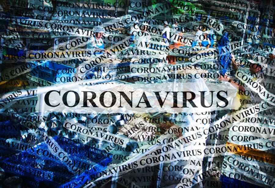 La epidemia del coronavirus y los elefantes blancos del Estado