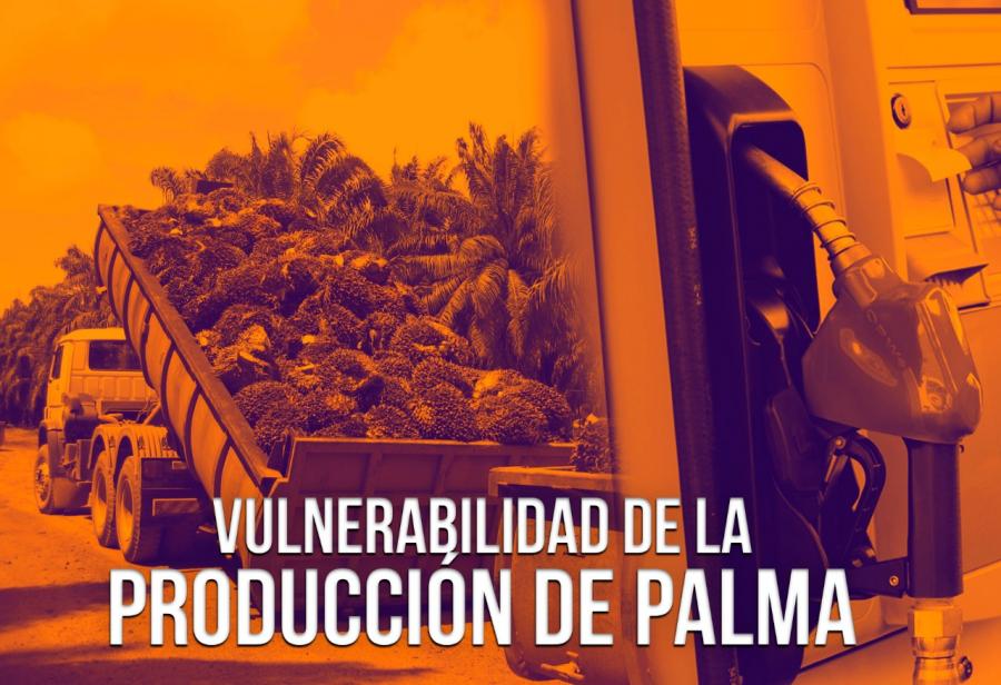 Vulnerabilidad de la producción de palma