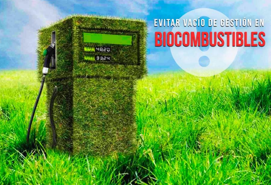 Evitar vacío de gestión en biocombustibles