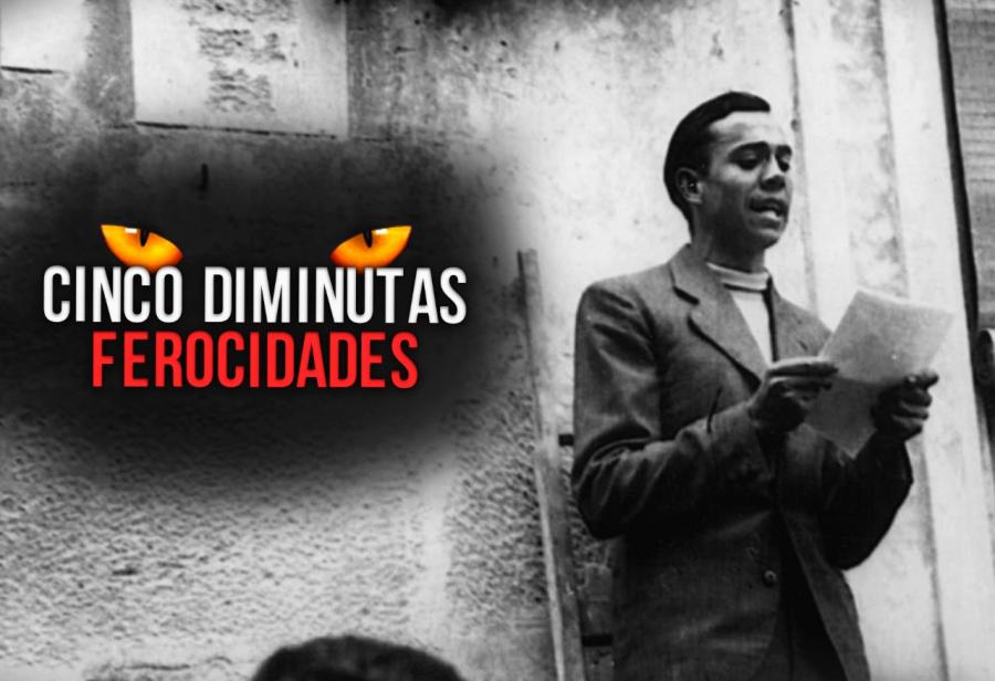 Cinco diminutas ferocidades