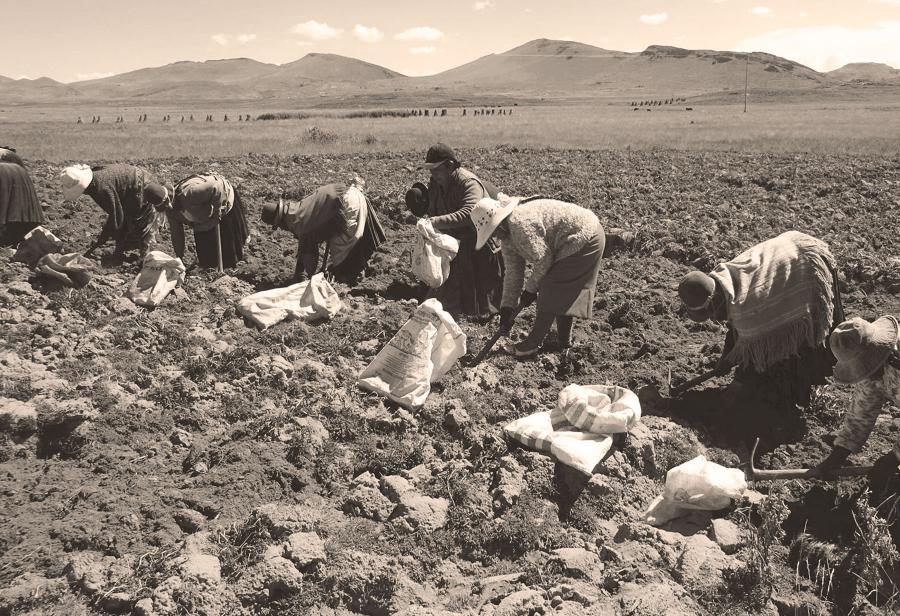 El régimen laboral agrario requiere un nuevo impulso