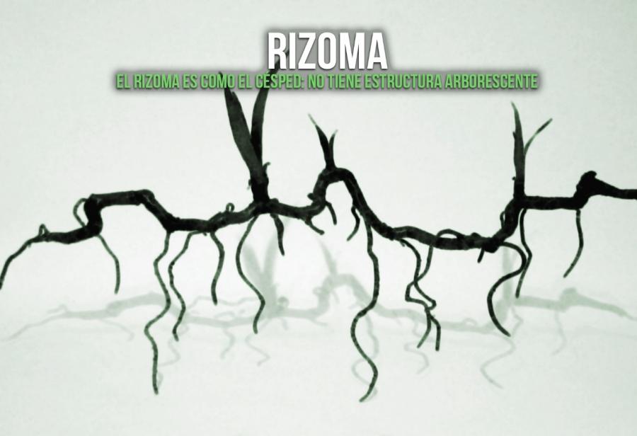 rizoma deleuze