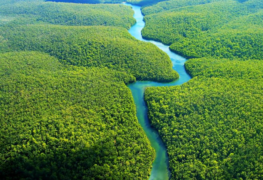 ¿Nueva Amazonía o más de la misma?