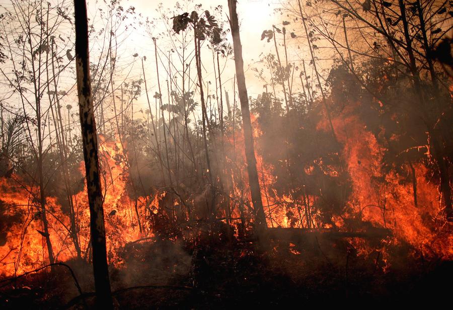 ¿Son de verdad tan graves los incendios en la Amazonía?