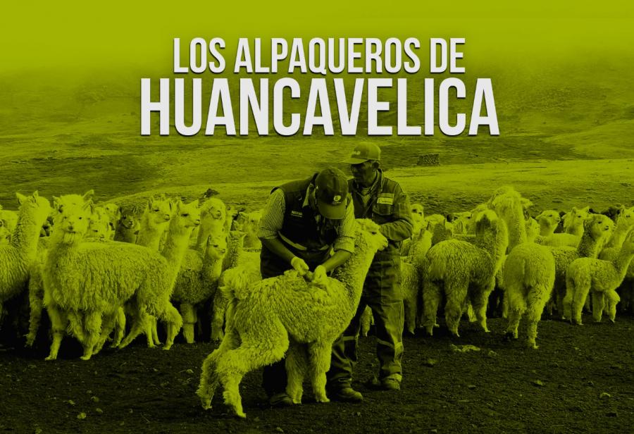 Los alpaqueros de Huancavelica