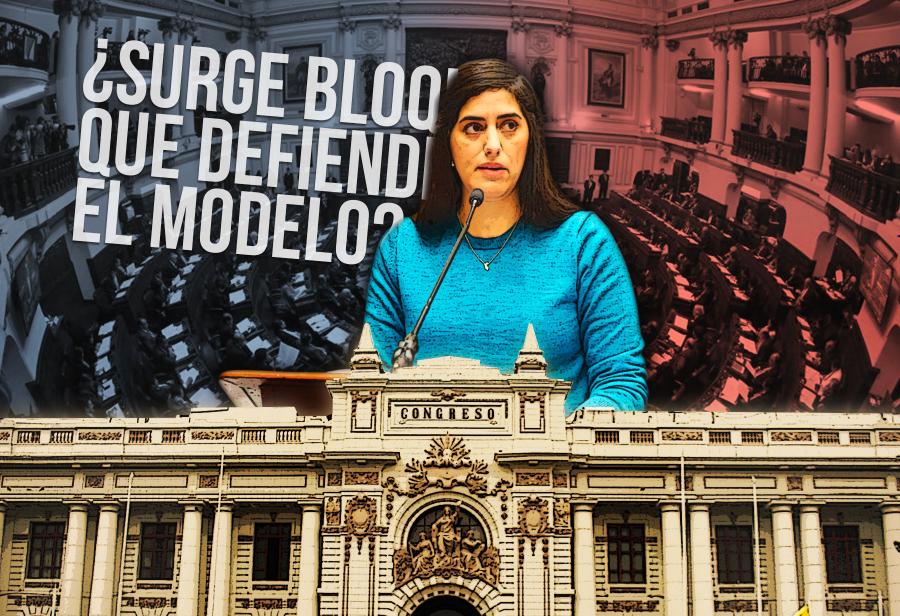 Congreso: ¿surge bloque que defiende el modelo?