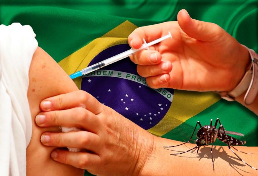 OPS, Brasil y vacuna contra el dengue