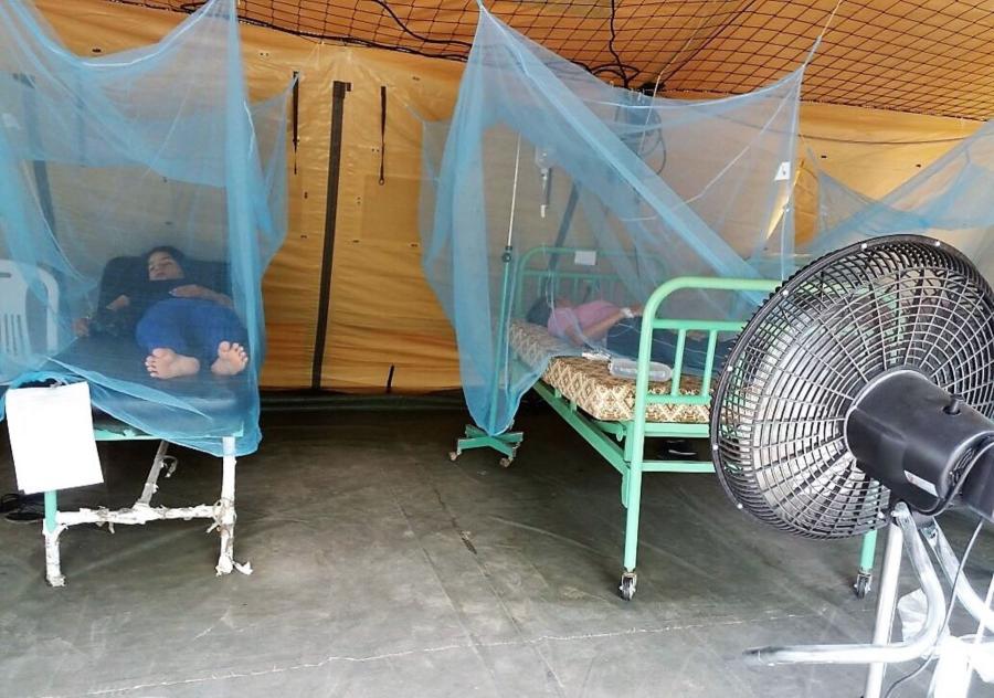El dengue y la tragedia sanitaria que se viene