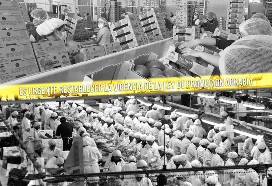 ¡No permitamos que las agroexportaciones agonicen!