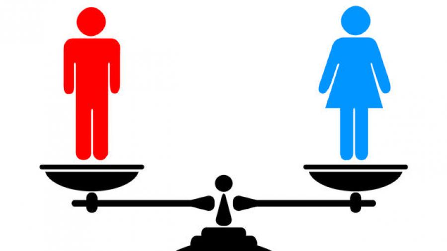 Entre el género, la igualdad y el Estado