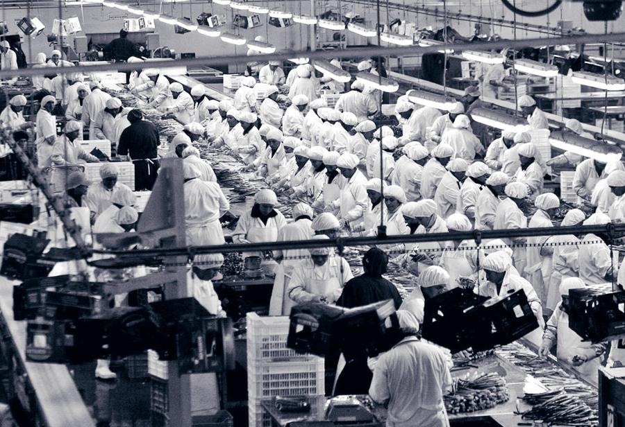 La flexibilidad laboral es otra de las grandes batallas del futuro