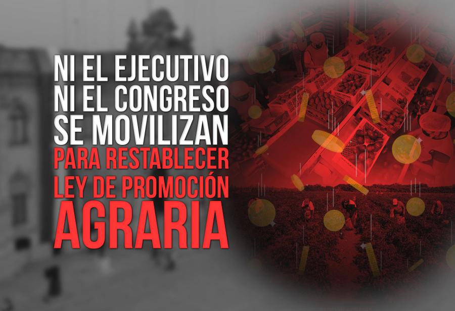 Sin ley que promueva inversiones, ¡no hay reactivación en el agro!