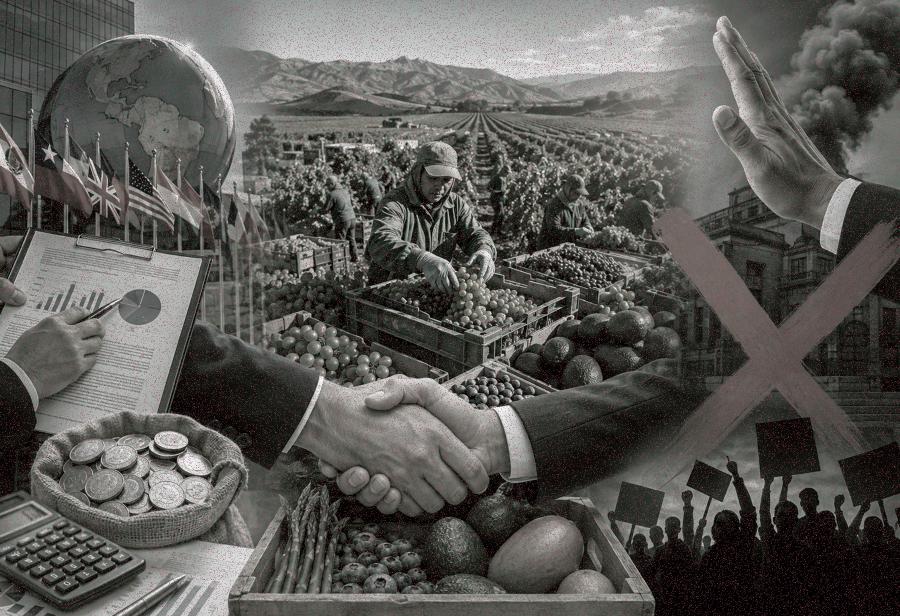 &iexcl;La nueva administraci&oacute;n y r&eacute;gimen promocional del agro en peligro!