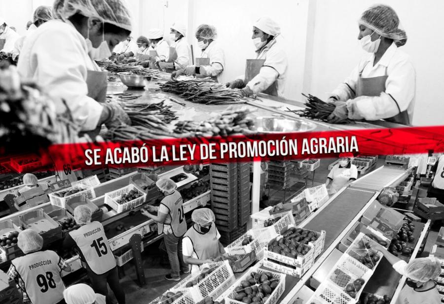 Crimen económico sin perdón: ¡derogatoria de Ley de Promoción Agraria!